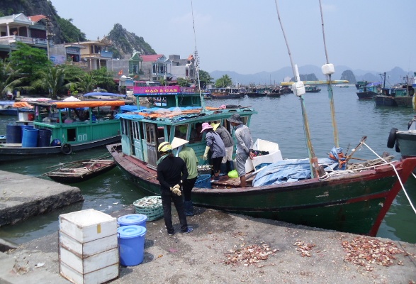 Xây dựng và ban hành Luật Tài nguyên, môi trường biển và hải đảo là nhu cầu rất cần thiết